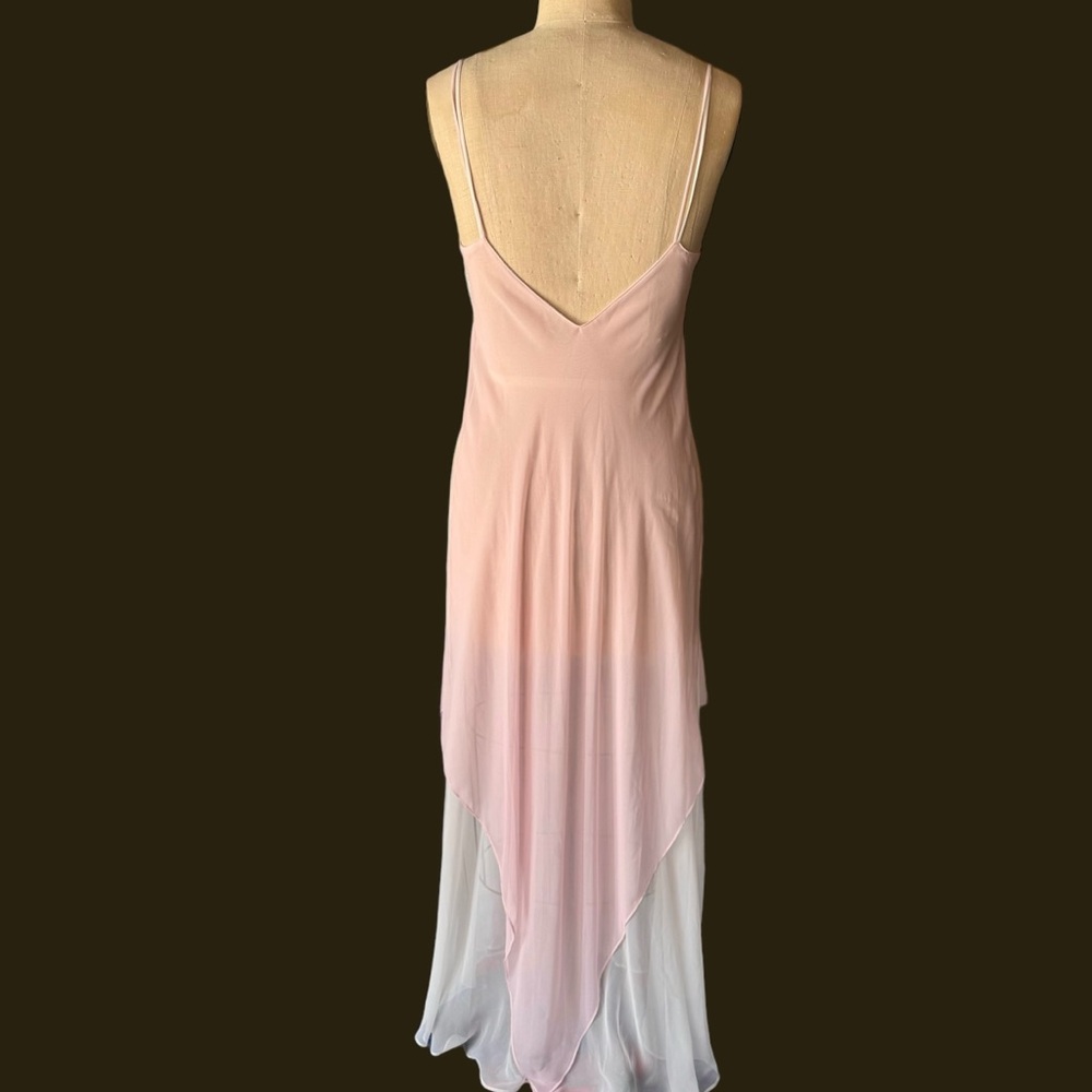 Vintage 60s Pink Sheer Rose Nighty Slip Dress - Picture 5 of 5